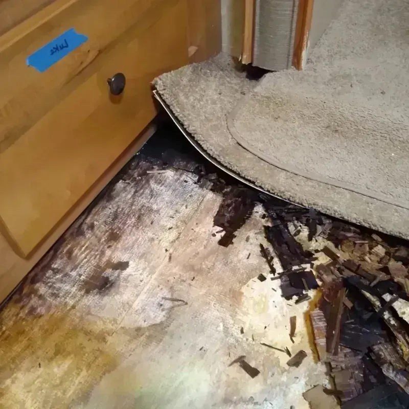 Wood Floor Water Damage in Johnson County, KS